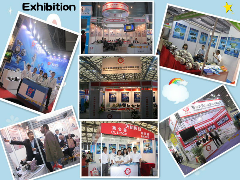 Exhibition 02.jpg